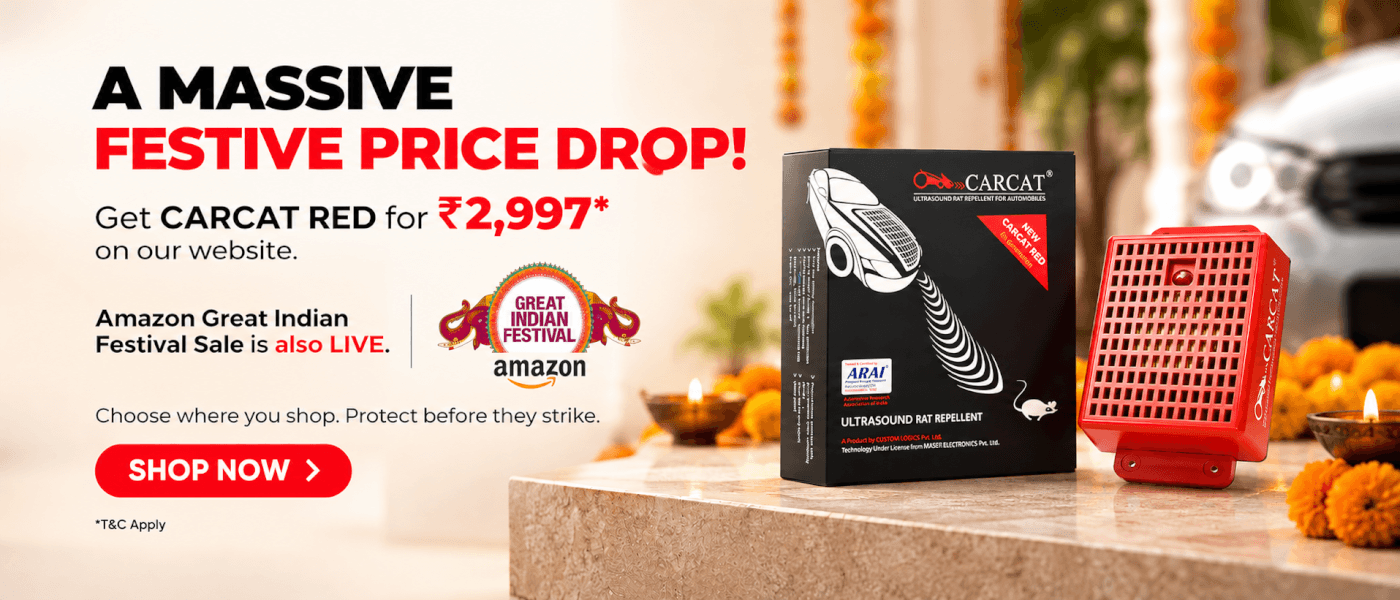 Get latest discounts on Amazon during Oct 2026.