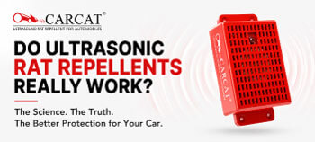Tired of rats chewing your car wiring? Discover why engineering, frequency variation, and visual strobing make a difference when choosing an ultrasonic rodent repellent.